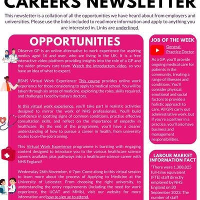 Careers Newsletter 17/11/25