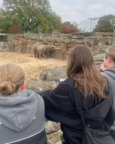Chester Zoo